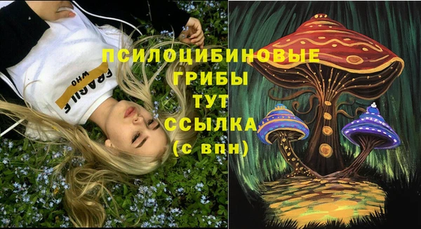 мет Горнозаводск