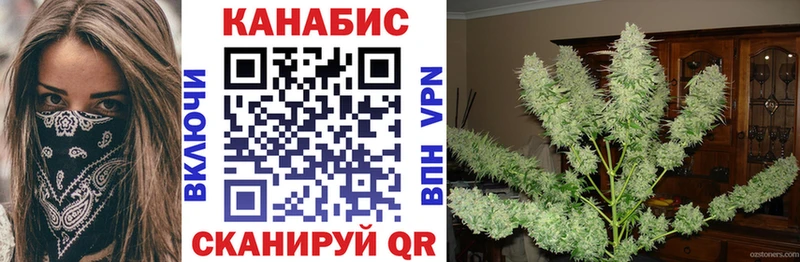 Бошки марихуана гибрид  omg ССЫЛКА  Мценск  хочу наркоту 